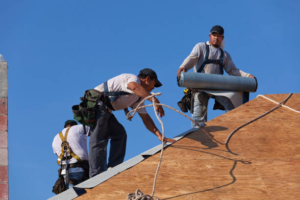 Best Roof Maintenance Services  in Westway, TX